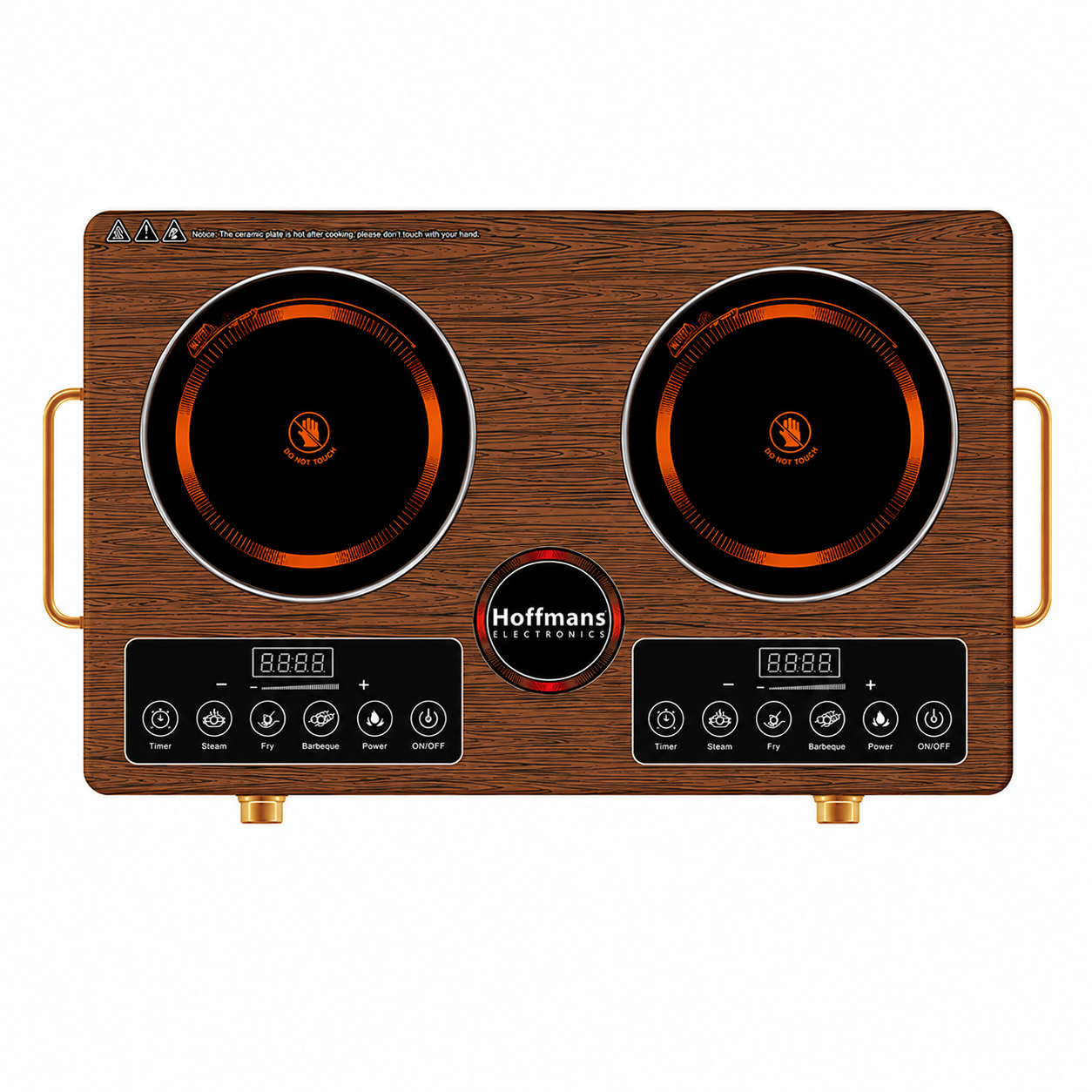Electric Induction Cooker