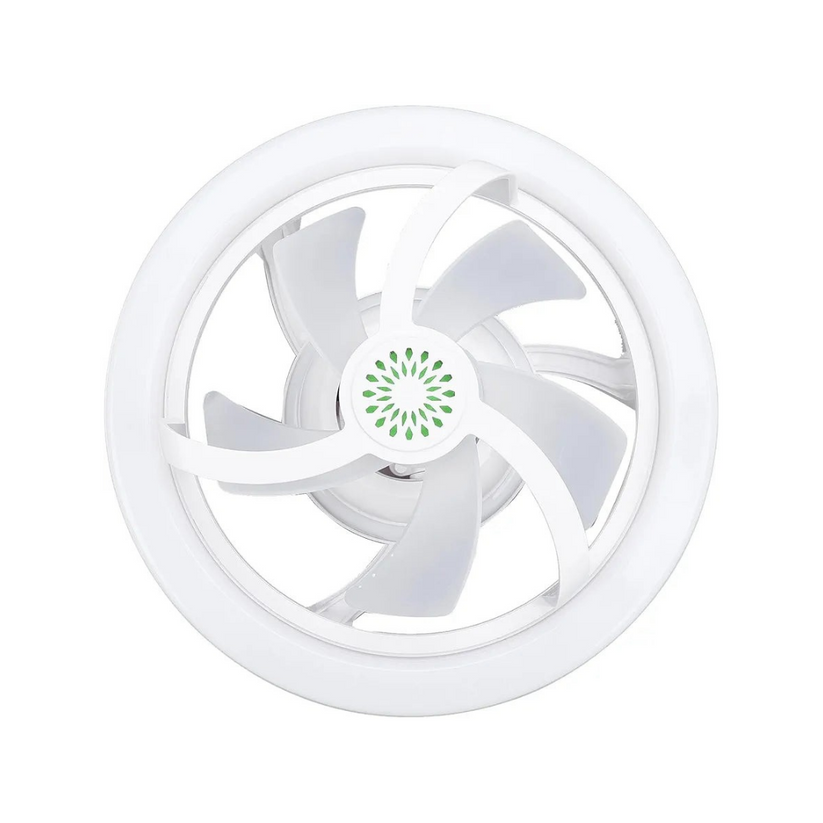 LumiBreeze™ 2 in 1 Ceiling Fan & Light