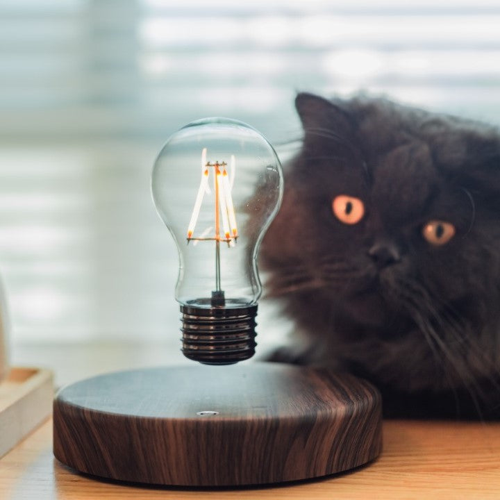 Levitating Light Bulb